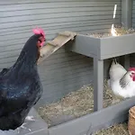 ゲストハウス Les Persiennes