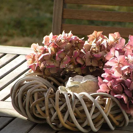 Les Persiennes 3* Saintes