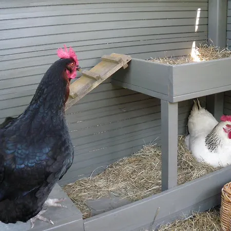 Les Persiennes Saintes