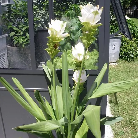 Les Persiennes 3* Saintes