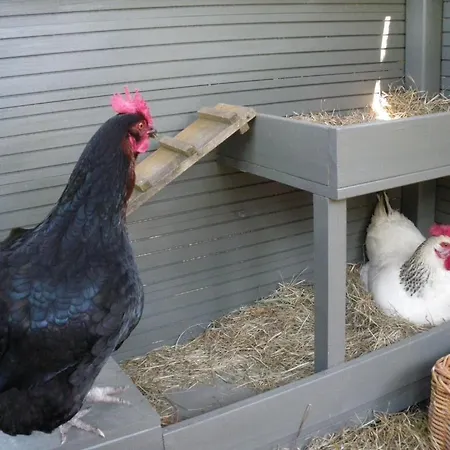 Vendégház Les Persiennes