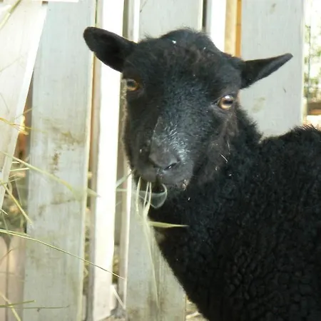 Les Persiennes Vendégház Saintes